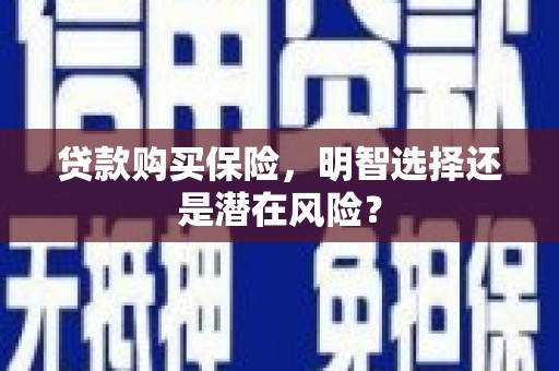 汉川贷款购买保险，明智选择还是潜在风险？