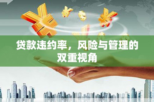 汉川贷款违约率，风险与管理的双重视角