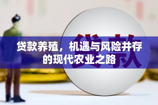 汉川贷款养殖，机遇与风险并存的现代农业之路