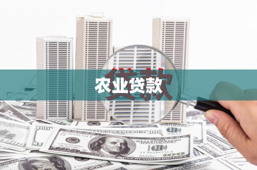 汉川农业贷款