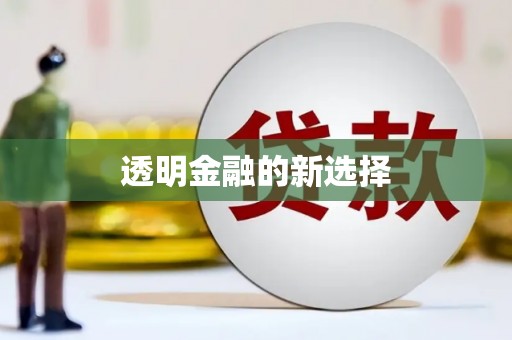 汉川透明金融的新选择