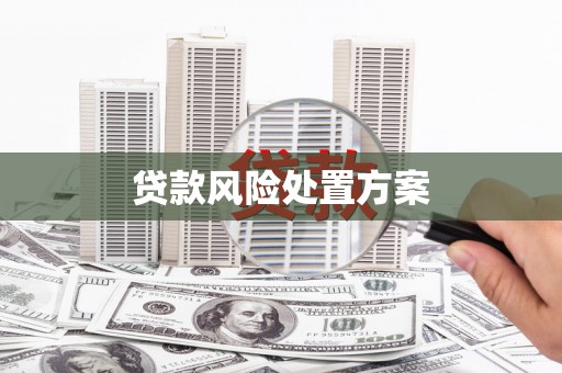 汉川贷款风险处置方案