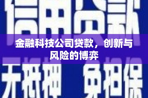 汉川金融科技公司贷款，创新与风险的博弈
