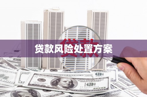 汉川贷款风险处置方案