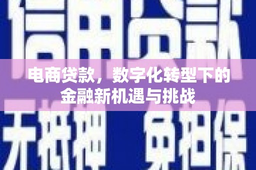 汉川电商贷款，数字化转型下的金融新机遇与挑战