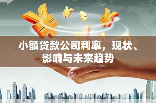汉川小额贷款公司利率，现状、影响与未来趋势