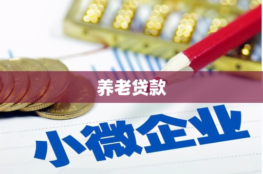 汉川养老贷款