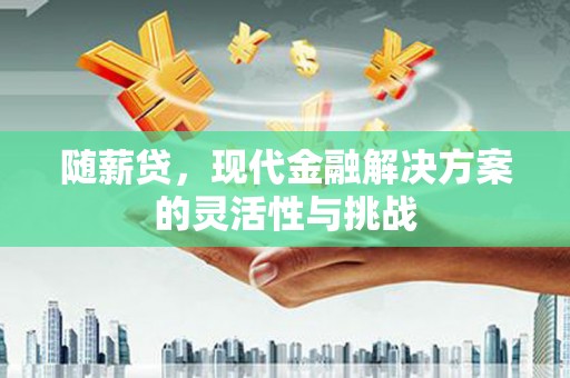 汉川随薪贷，现代金融解决方案的灵活性与挑战