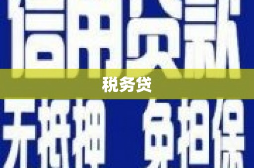 汉川税务贷