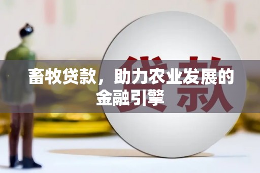 汉川畜牧贷款，助力农业发展的金融引擎