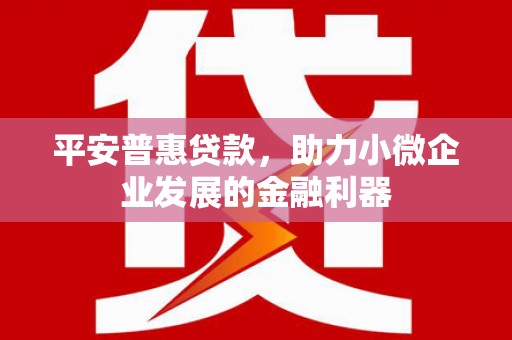 汉川平安普惠贷款，助力小微企业发展的金融利器