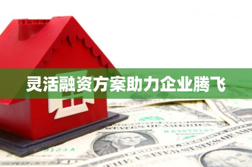汉川灵活融资方案助力企业腾飞