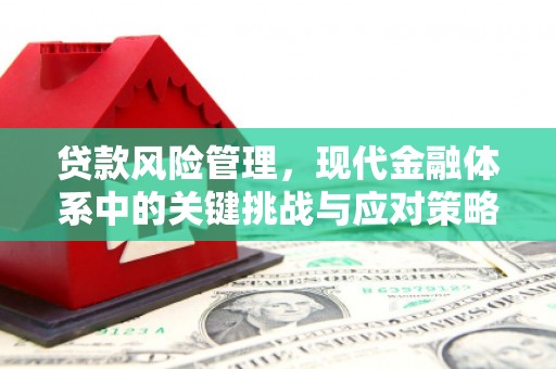 汉川贷款风险管理，现代金融体系中的关键挑战与应对策略