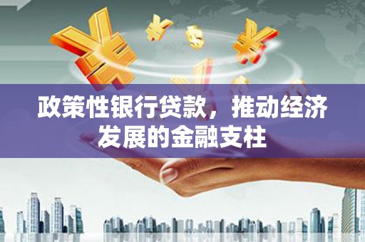 汉川政策性银行贷款，推动经济发展的金融支柱