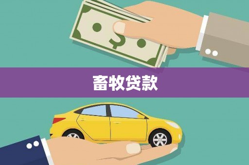 汉川畜牧贷款