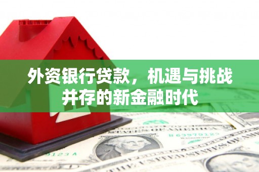 汉川外资银行贷款，机遇与挑战并存的新金融时代