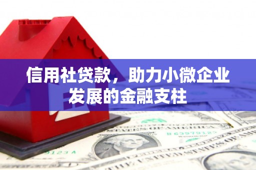 汉川信用社贷款，助力小微企业发展的金融支柱