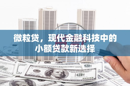 汉川微粒贷，现代金融科技中的小额贷款新选择