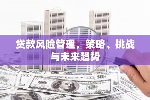 汉川贷款风险管理，策略、挑战与未来趋势