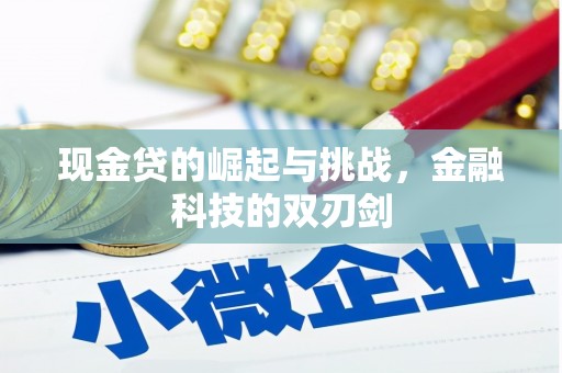 汉川现金贷的崛起与挑战，金融科技的双刃剑