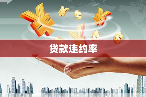 汉川贷款违约率