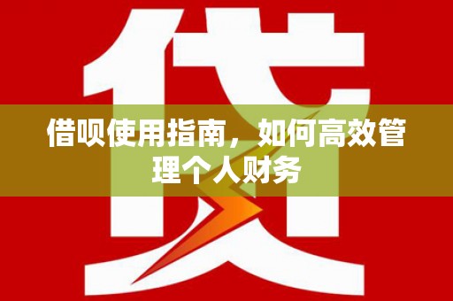 汉川借呗使用指南，如何高效管理个人财务