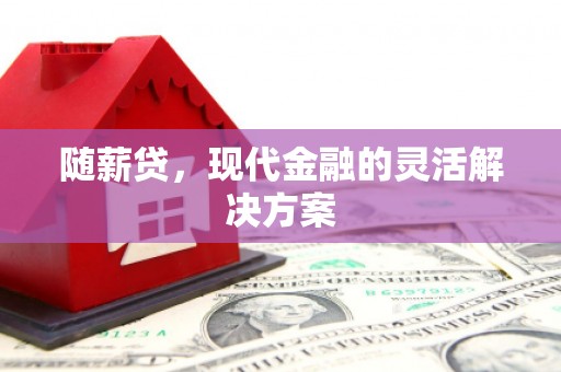 汉川随薪贷，现代金融的灵活解决方案