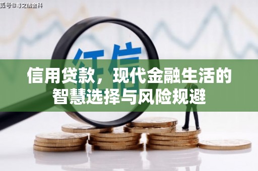 汉川信用贷款，现代金融生活的智慧选择与风险规避