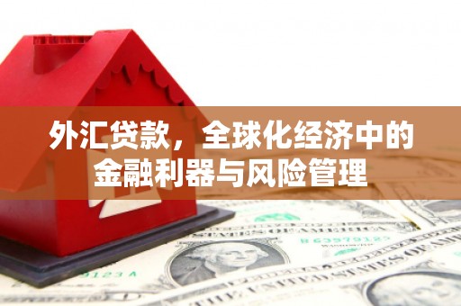 汉川外汇贷款，全球化经济中的金融利器与风险管理
