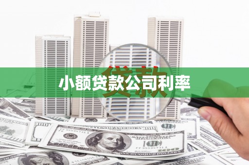 汉川小额贷款公司利率