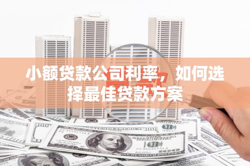 汉川小额贷款公司利率，如何选择最佳贷款方案