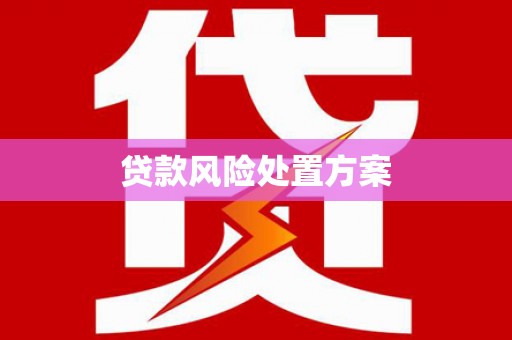 汉川贷款风险处置方案