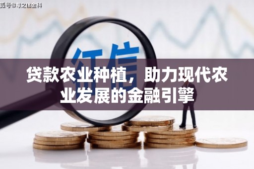 汉川贷款农业种植，助力现代农业发展的金融引擎