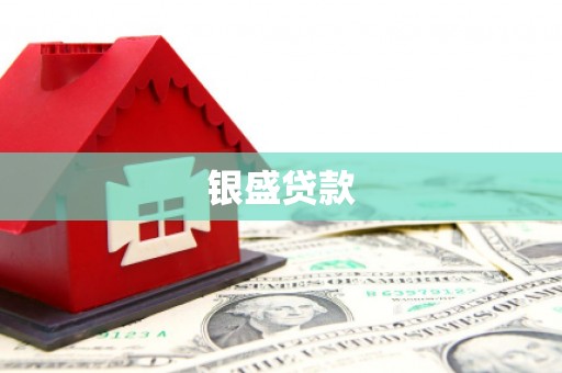 汉川银盛贷款