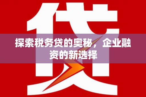 汉川探索税务贷的奥秘，企业融资的新选择