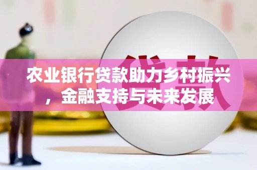 汉川农业银行贷款助力乡村振兴，金融支持与未来发展