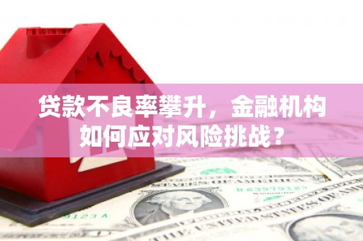汉川贷款不良率攀升，金融机构如何应对风险挑战？