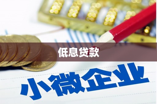 汉川低息贷款