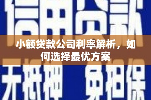 汉川小额贷款公司利率解析，如何选择最优方案