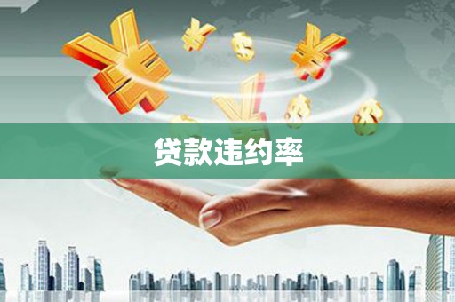 汉川贷款违约率