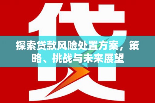 汉川探索贷款风险处置方案，策略、挑战与未来展望