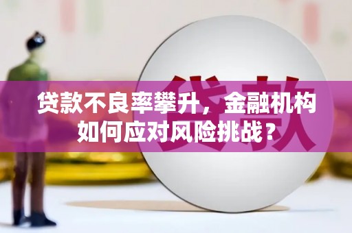 汉川贷款不良率攀升，金融机构如何应对风险挑战？