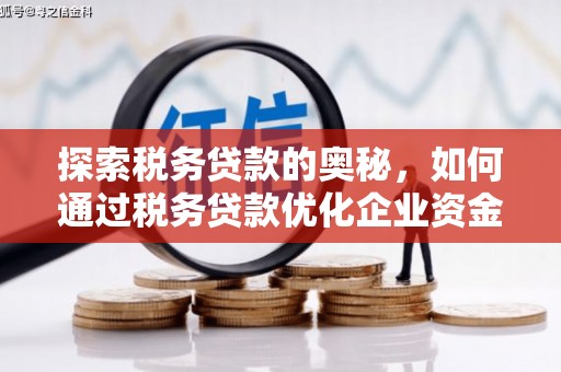 汉川探索税务贷款的奥秘，如何通过税务贷款优化企业资金流