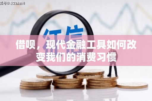 汉川借呗，现代金融工具如何改变我们的消费习惯