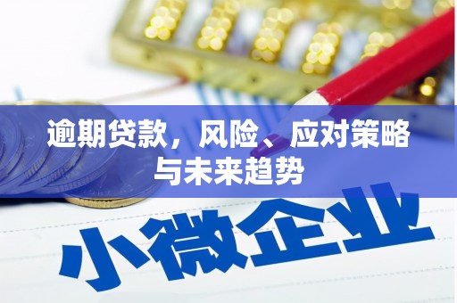 汉川逾期贷款，风险、应对策略与未来趋势