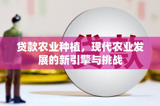 汉川贷款农业种植，现代农业发展的新引擎与挑战