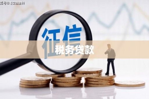 汉川税务贷款