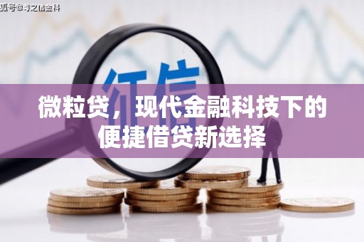 汉川微粒贷，现代金融科技下的便捷借贷新选择
