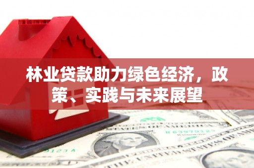 汉川林业贷款助力绿色经济，政策、实践与未来展望
