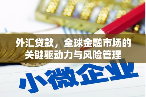 汉川外汇贷款，全球金融市场的关键驱动力与风险管理
